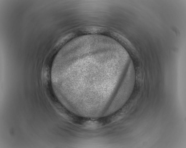 X0000112010119200908311142