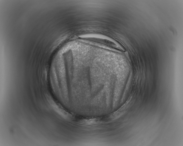 X0000112010120200908311142