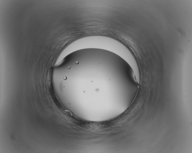 X0000112010121200908311142