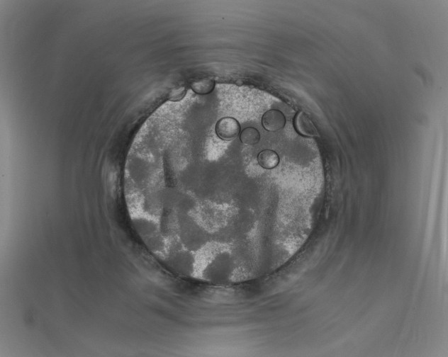 X0000112010123200908311142