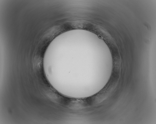 X0000112010125200908311142