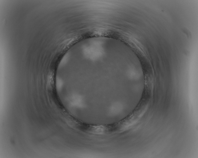 X0000112010127200908311142