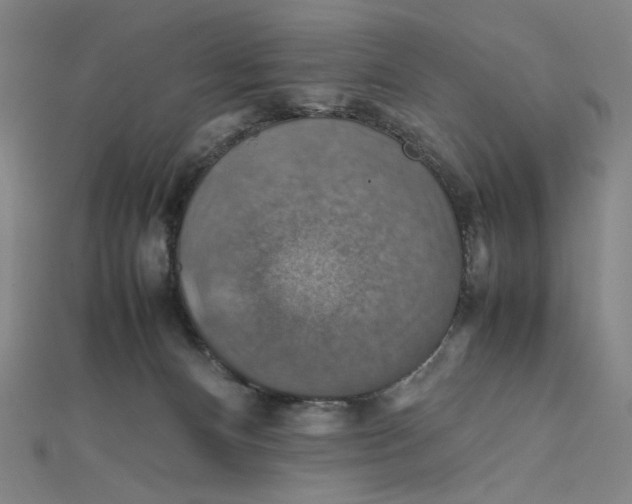 X0000112010128200908311142