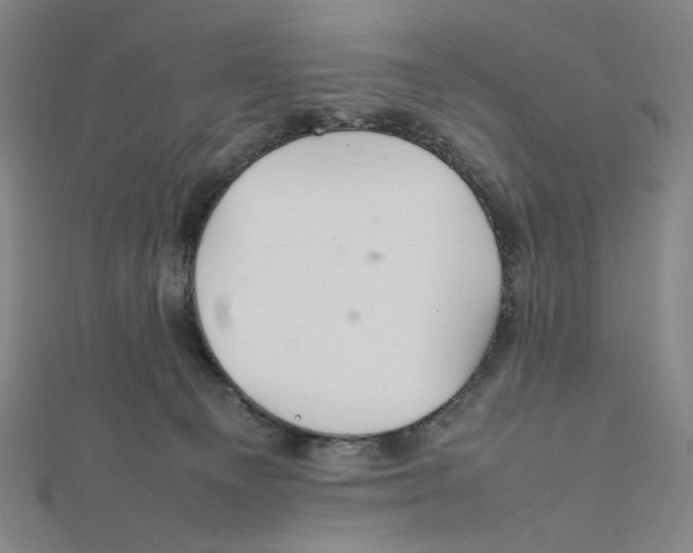 X0000112010129200908311142