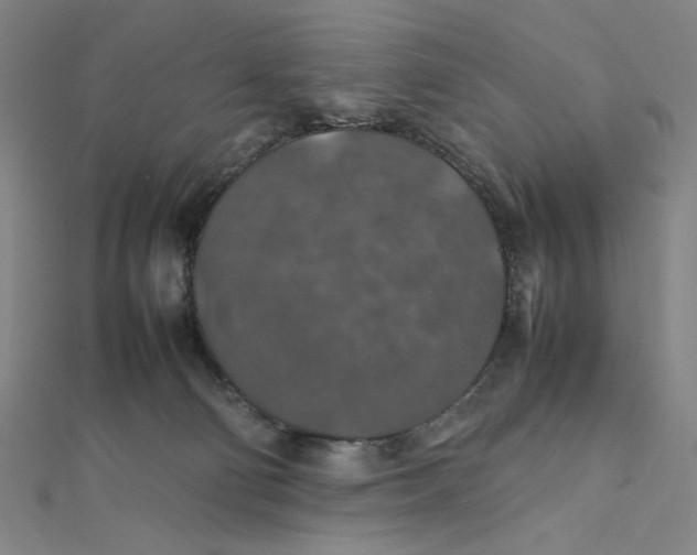 X0000112010130200908311142