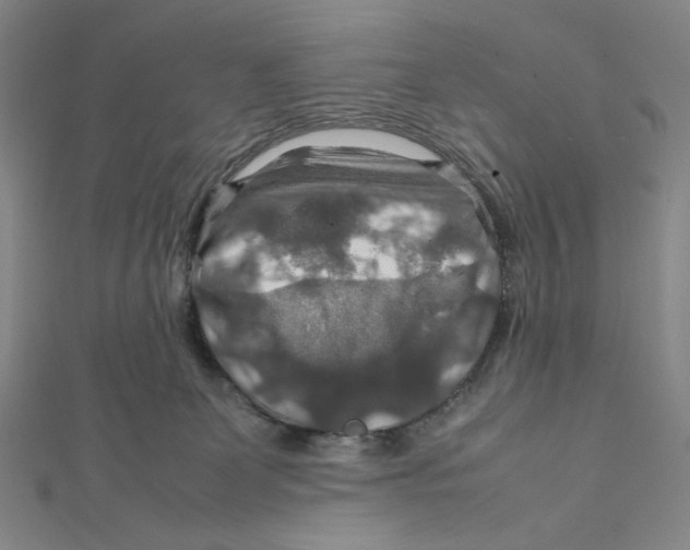 X0000112010131200908311142
