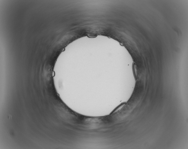 X0000112010133200908311142
