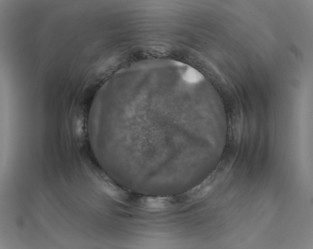 X0000112010134200908311142