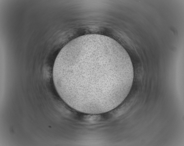 X0000112010135200908311142