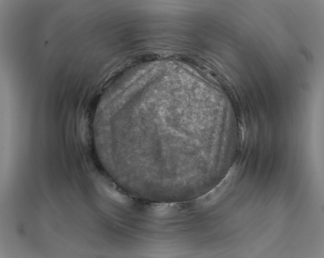 X0000112010136200908311142