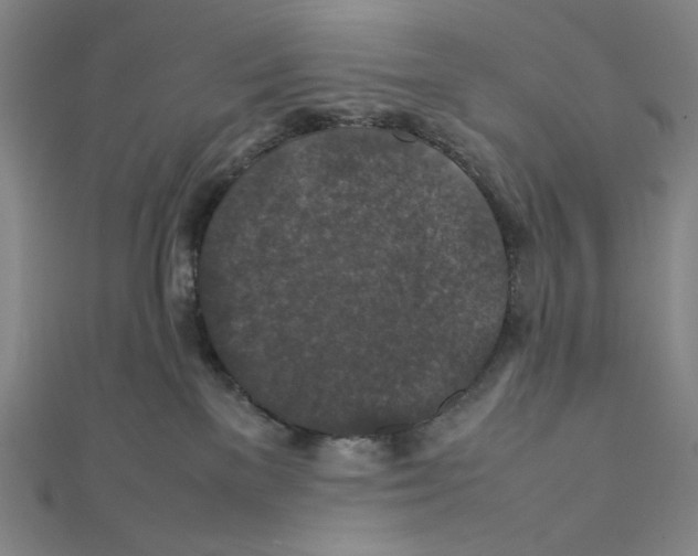 X0000112010137200908311142