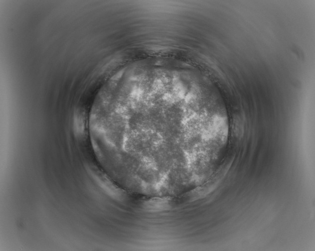 X0000112010138200908311142