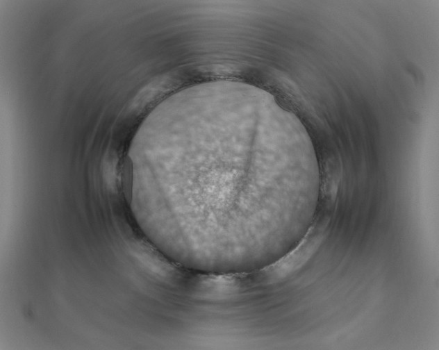 X0000112010140200908311142