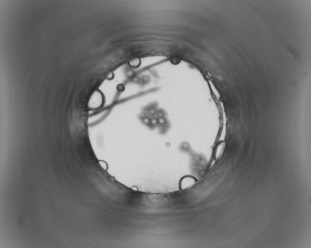 X0000112010141200908311142