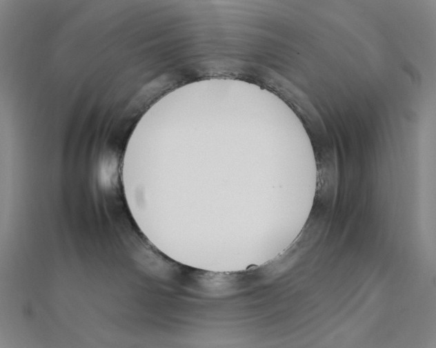 X0000112010142200908311142