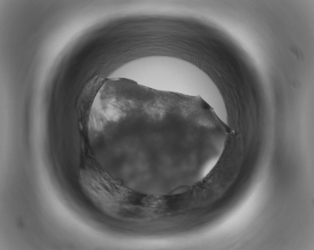 X0000112010143200908311141
