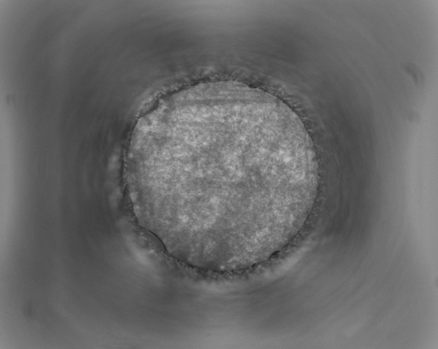 X0000112010144200908311141