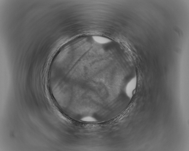 X0000112010145200908311141