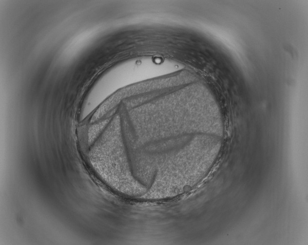 X0000112010146200908311141