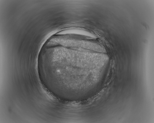 X0000112010148200908311141