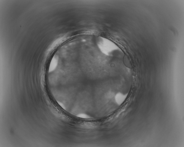 X0000112010149200908311141