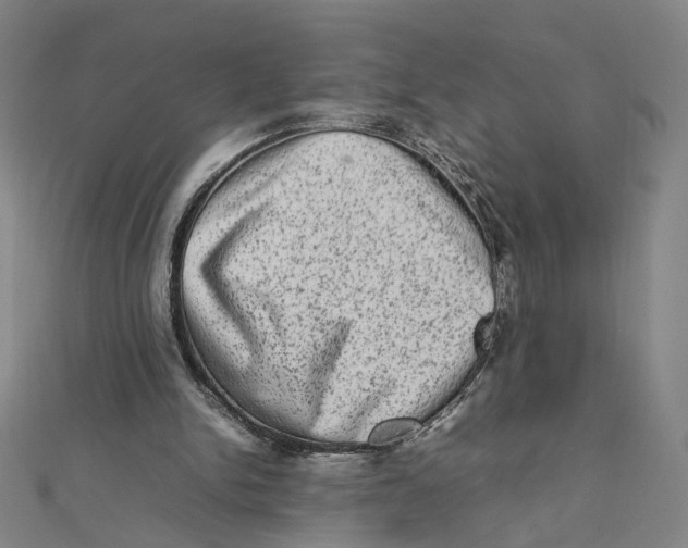 X0000112010150200908311141