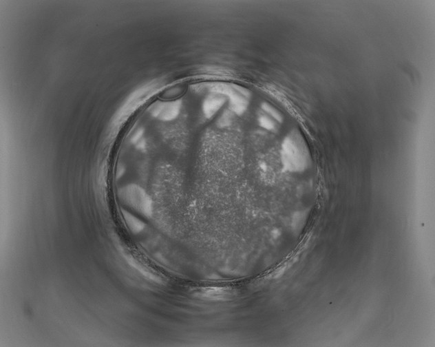 X0000112010151200908311141