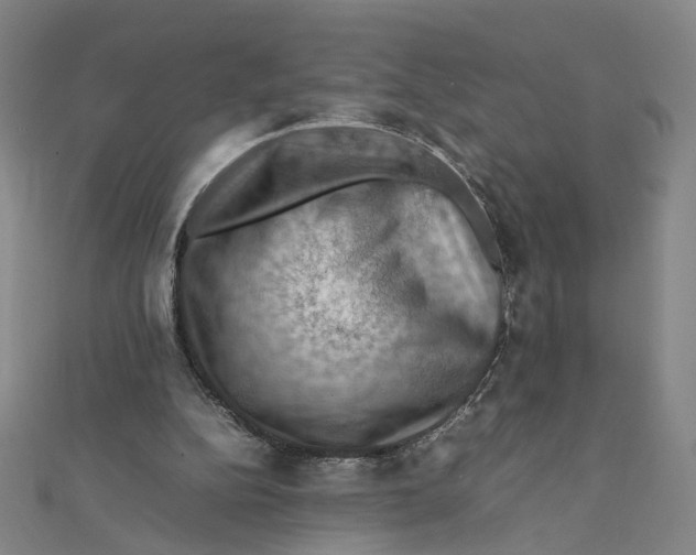X0000112010152200908311141