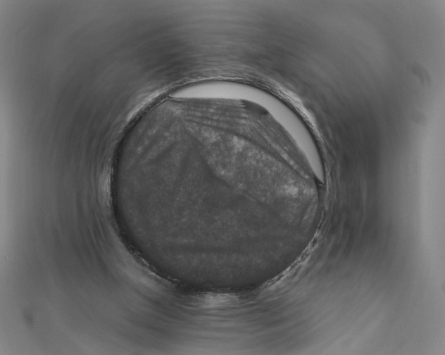X0000112010154200908311141