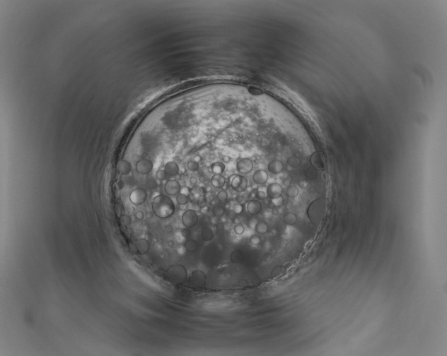 X0000112010155200908311141