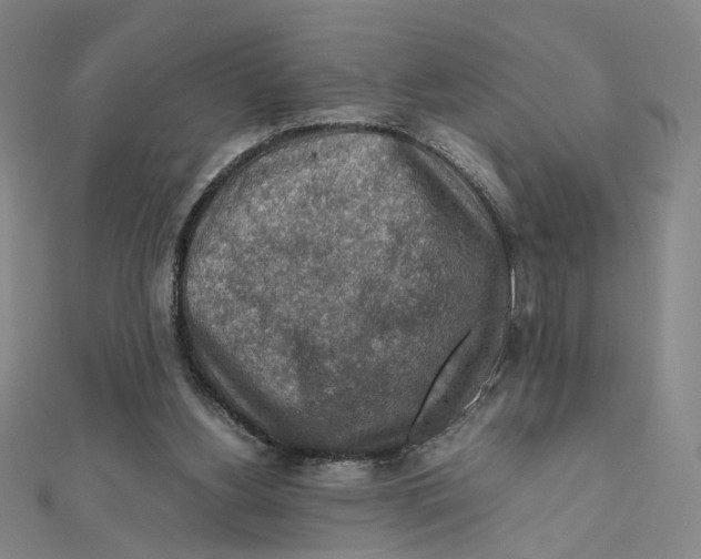 X0000112010156200908311141