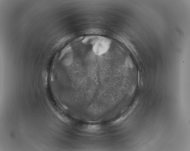 X0000112010157200908311141