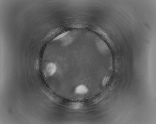 X0000112010161200908311141