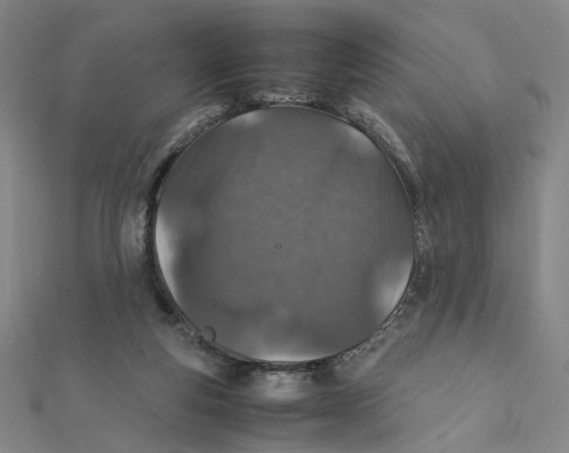 X0000112010163200908311141