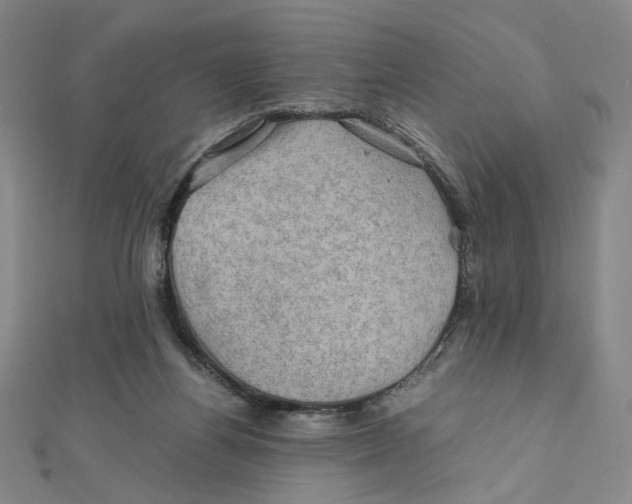X0000112010164200908311141