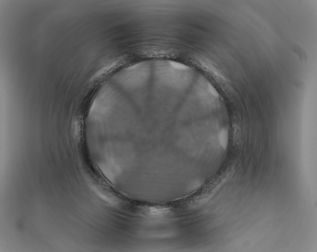 X0000112010165200908311141