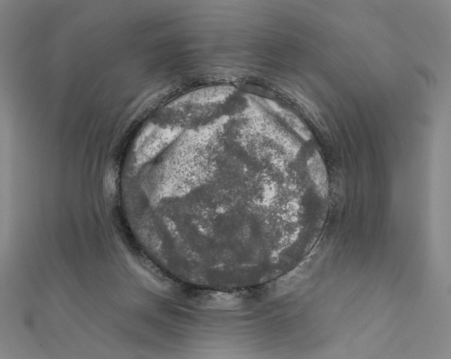 X0000112010166200908311141