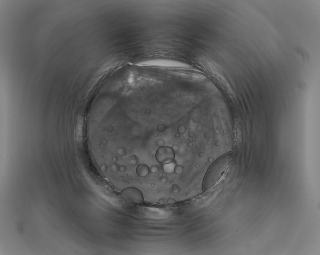 X0000112010167200908311141