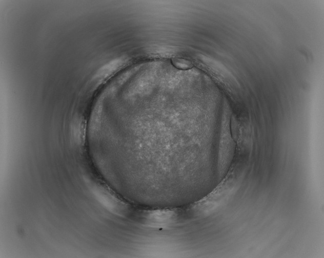 X0000112010168200908311141