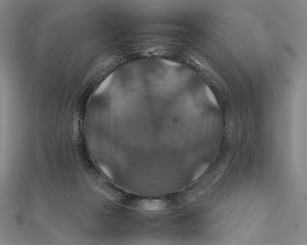 X0000112010169200908311141