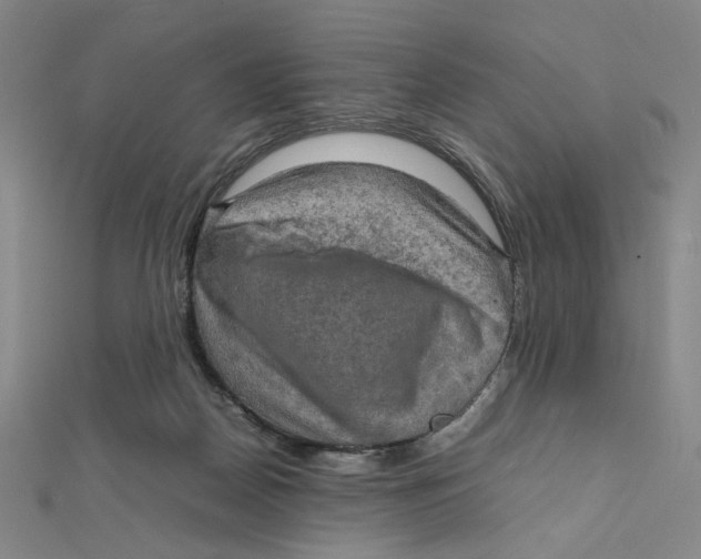 X0000112010170200908311141