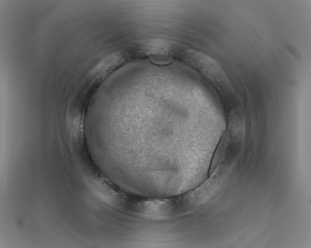 X0000112010172200908311141