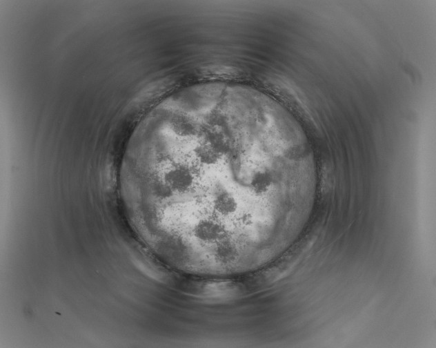 X0000112010173200908311141