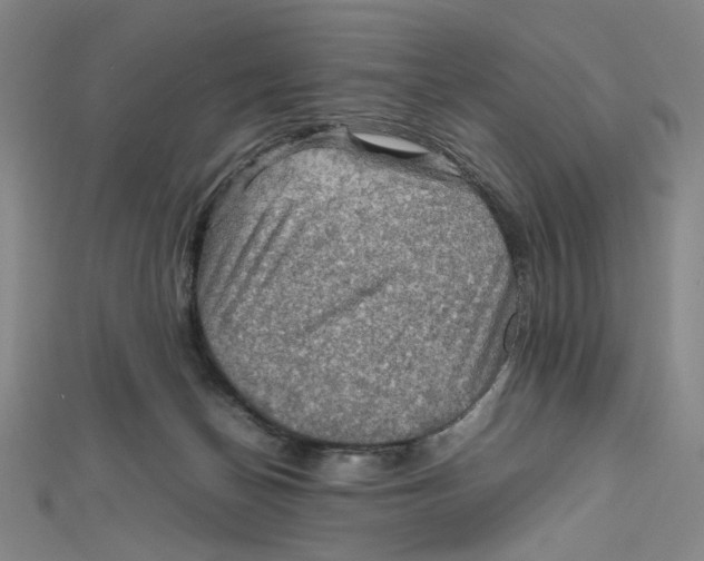 X0000112010174200908311141