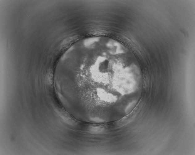 X0000112010175200908311141