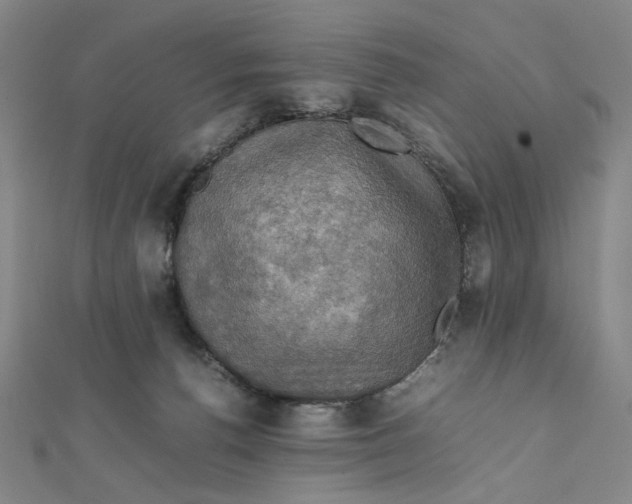 X0000112010176200908311141