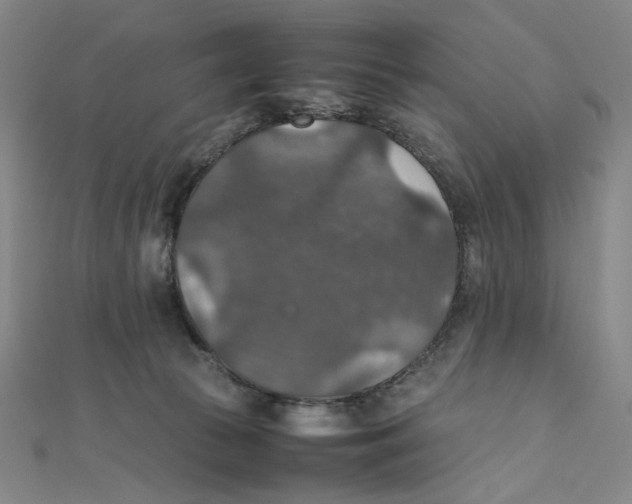 X0000112010177200908311141