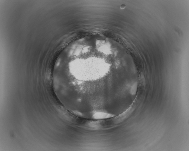 X0000112010178200908311141