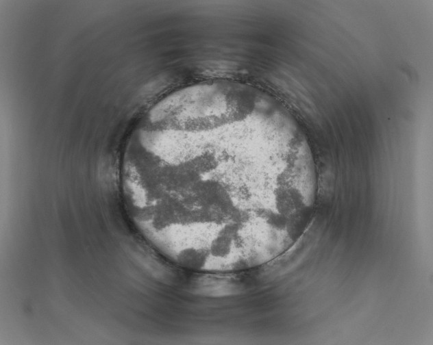 X0000112010179200908311141