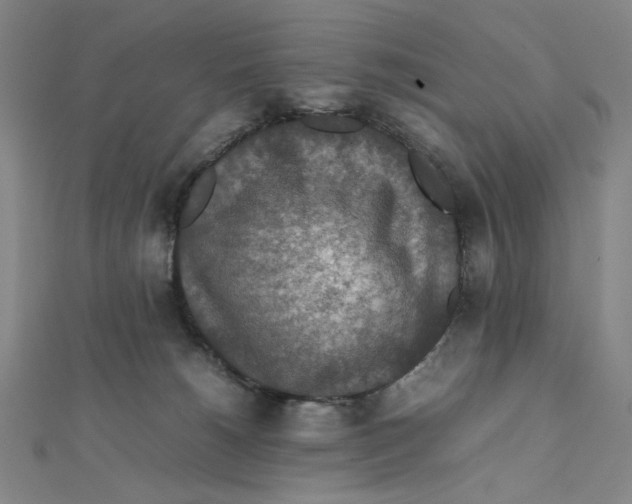 X0000112010180200908311141